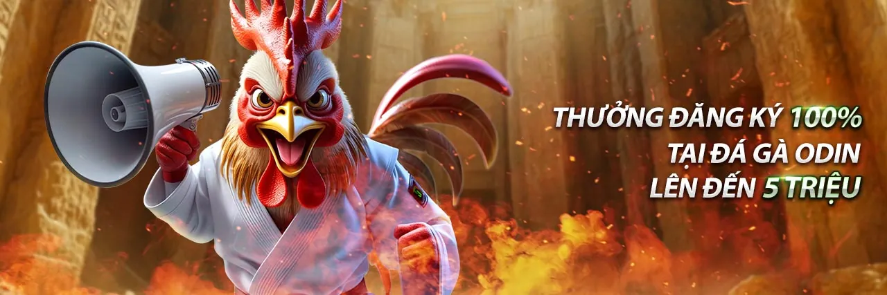 Hình ảnh Chính Sách Cookie của nh882 đăng nhập, minh họa bảo mật dữ liệu và trải nghiệm người dùng an toàn trên nền tảng giải trí trực tuyến